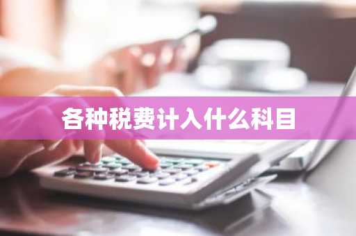 各种税费计入什么科目