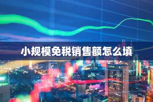 小规模免税销售额怎么填