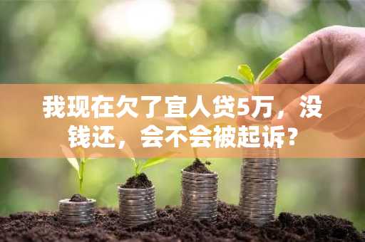 我现在欠了宜人贷5万，没钱还，会不会被起诉？