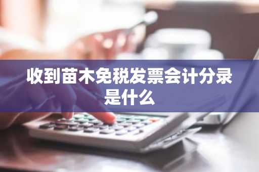收到苗木免税发票会计分录是什么