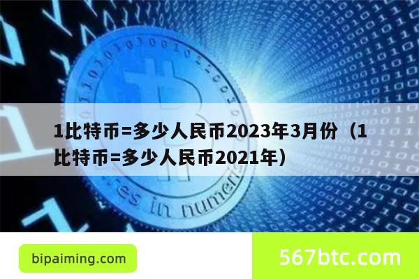 1比特币=多少人民币2023年3月份（1比特币=多少人民币2021年）