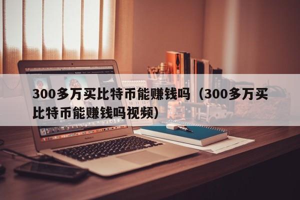 300多万买比特币能赚钱吗（300多万买比特币能赚钱吗视频）