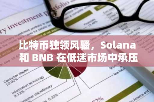 比特币独领风骚，Solana 和 BNB 在低迷市场中承压