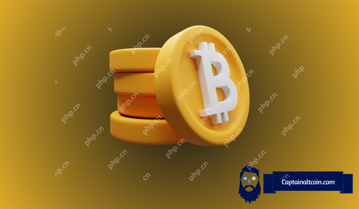 比特币（BTC）至$ 300,000看起来不可阻挡 – 这里是图表的证明