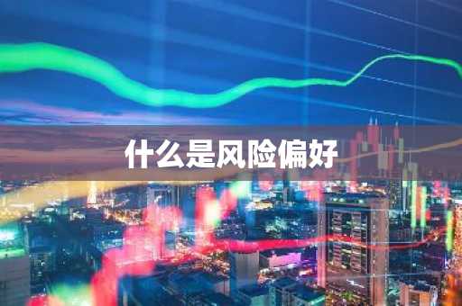 什么是风险偏好