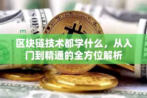 区块链技术都学什么，从入门到精通的全方位解析
