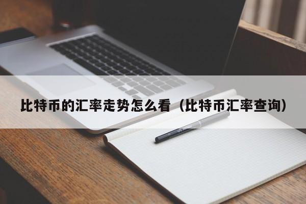 比特币的汇率走势怎么看（比特币汇率查询）