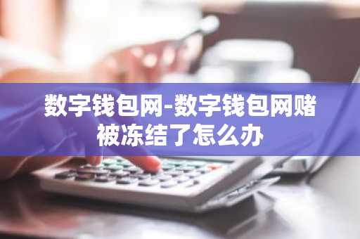 数字钱包网-数字钱包网赌被冻结了怎么办