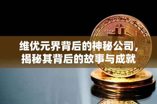维优元界背后的神秘公司，揭秘其背后的故事与成就