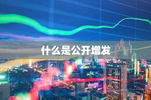 什么是公开增发