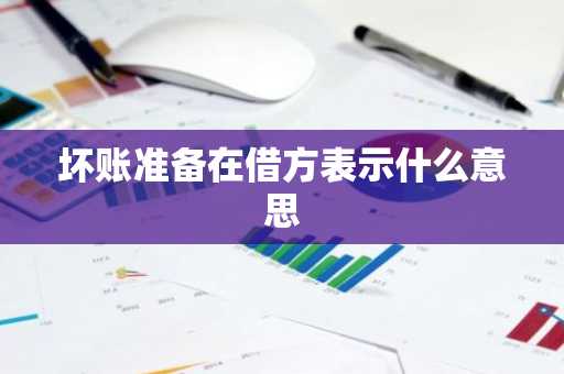 坏账准备在借方表示什么意思