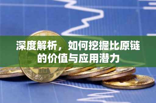 深度解析，如何挖掘比原链的价值与应用潜力