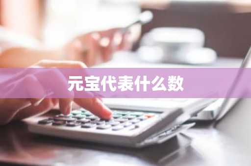 元宝代表什么数