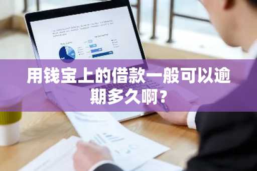 用钱宝上的借款一般可以逾期多久啊？