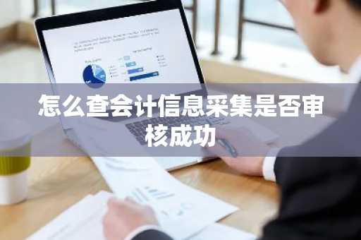 怎么查会计信息采集是否审核成功