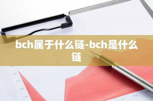 bch属于什么链-bch是什么链