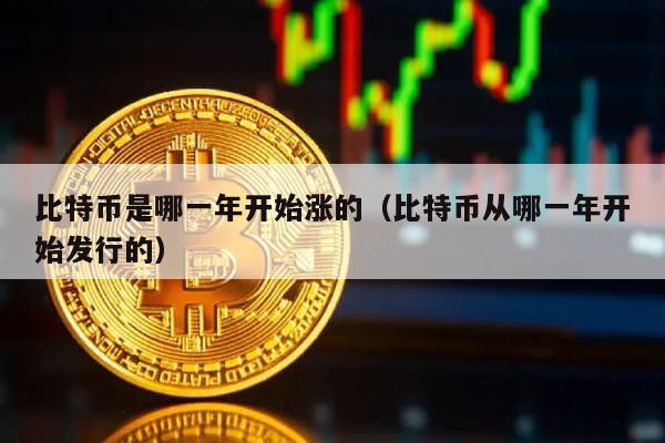 比特币是哪一年开始涨的（比特币从哪一年开始发行的）