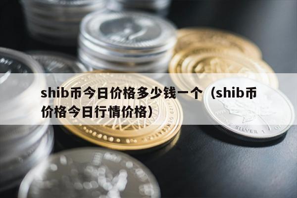 shib币今日价格多少钱一个（shib币价格今日行情价格）