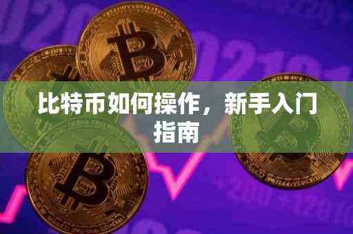 比特币如何操作，新手入门指南