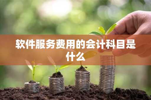 软件服务费用的会计科目是什么
