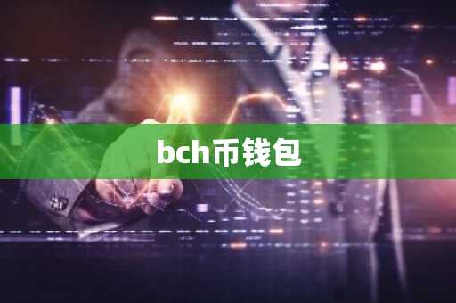 bch币钱包
