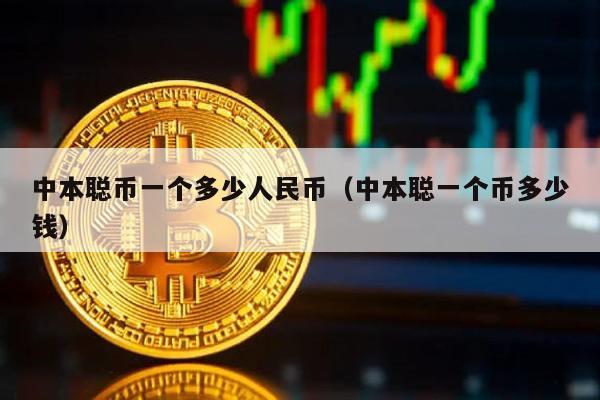 中本聪币一个多少人民币（中本聪一个币多少钱）