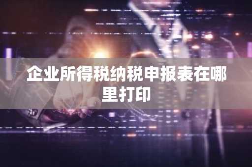企业所得税纳税申报表在哪里打印