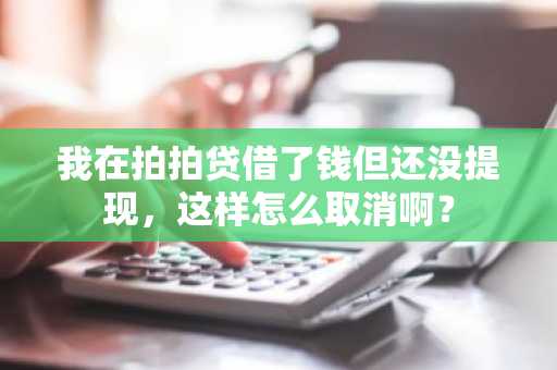 我在拍拍贷借了钱但还没提现，这样怎么取消啊？