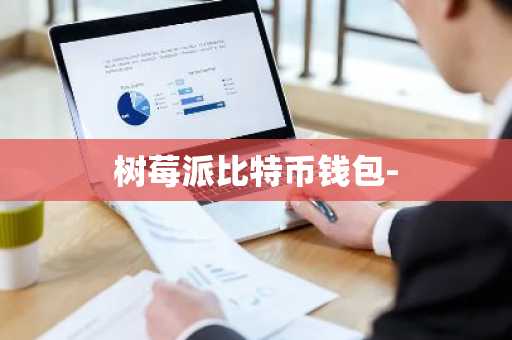 树莓派比特币钱包-