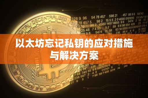 以太坊忘记私钥的应对措施与解决方案