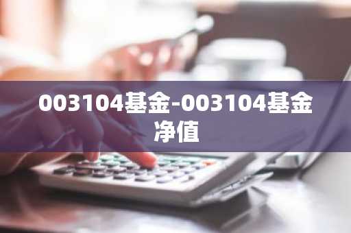 003104基金-003104基金净值