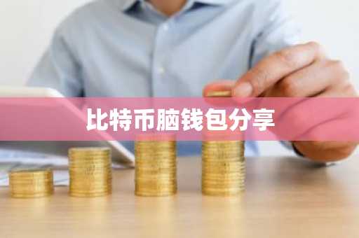 比特币脑钱包分享