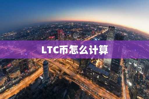LTC币怎么计算