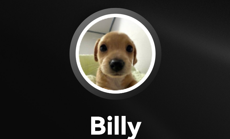 BILLY币是什么?2024年投资BILLY币前景分析