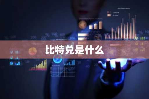 比特兑是什么
