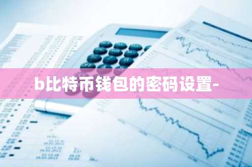 b比特币钱包的密码设置-