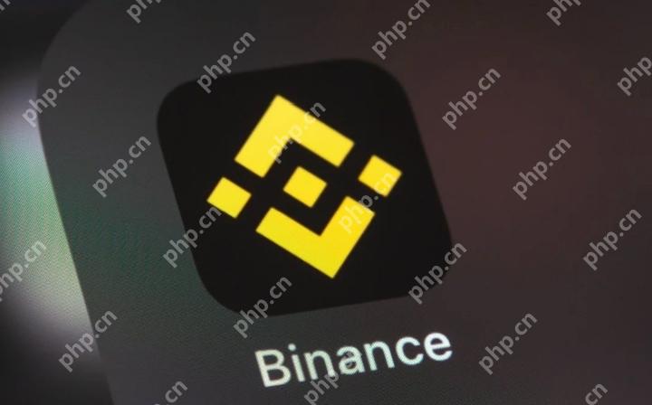 币安binance交易所官方安卓版入口 v2.99.5 安装使用指南