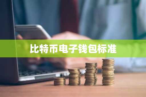 比特币电子钱包标准
