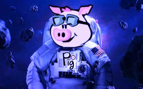 pig币安卓平台客户端下载 pig币安卓app手机客户端