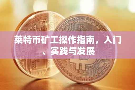 莱特币矿工操作指南，入门、实践与发展