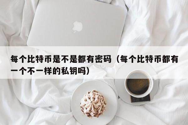 每个比特币是不是都有密码（每个比特币都有一个不一样的私钥吗）