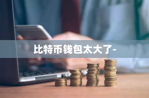 比特币钱包太大了-