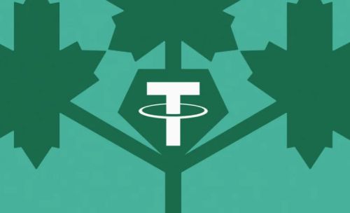 （USDT软件官网下载）USDT数字货币钱包下载v7.6.48-第2张图片-binance下载