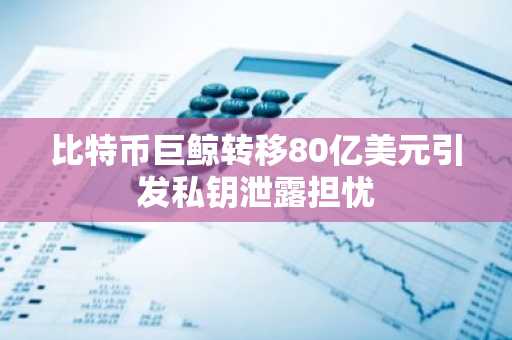 比特币巨鲸转移80亿美元引发私钥泄露担忧