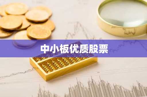 中小板优质股票
