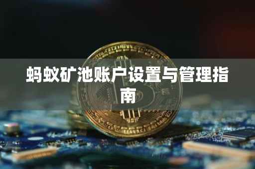 蚂蚁矿池账户设置与管理指南