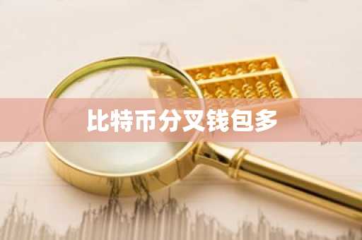比特币分叉钱包多