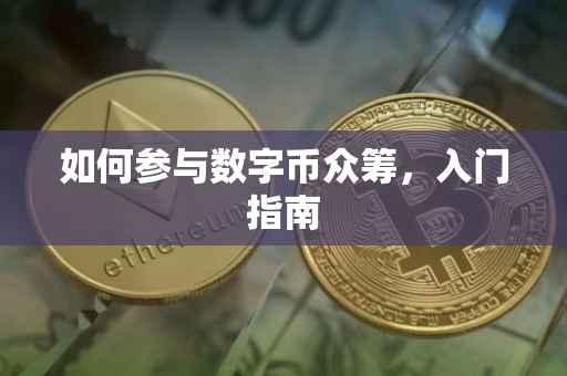 如何参与数字币众筹，入门指南