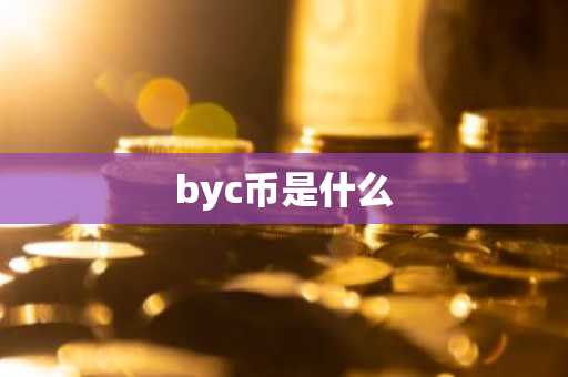 byc币是什么