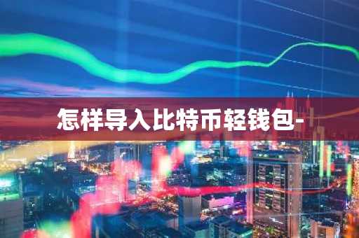 怎样导入比特币轻钱包-